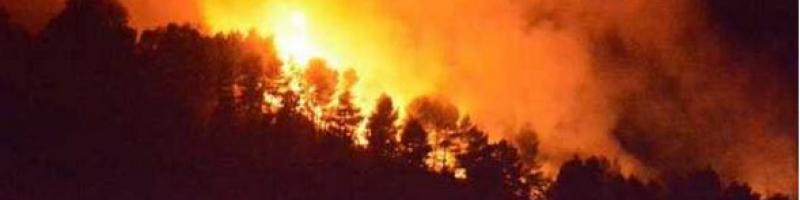 Catasto dei boschi percorsi dal fuoco legge R.T. 39/2000