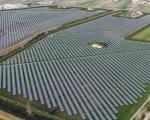 Impianto Solare Agrivoltaico da realizzarsi in Comune di Monsummano Terme (PT). Procedimento di VIA - PNIEC.