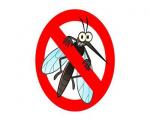 Lotta alla zanzara: dipende da Te!
